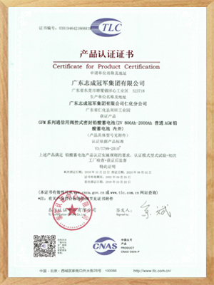 2020GFM系列(2V800-2000AH普通蓄電池)泰爾證書